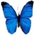1685151532299.png 1685151532299.png