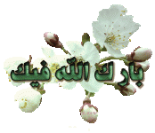 1a855a17.gif 1a855a17.gif