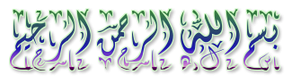 11.png 11.png
