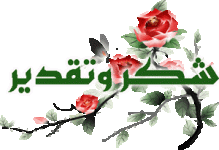 1a855a13.gif 1a855a13.gif