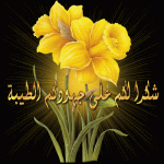 713ed6d53c.gif 713ed6d53c.gif