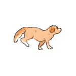 18f566fa5cf046c1e81fc6c61ce5dc53.gif