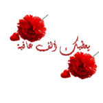 1750072704960.gif