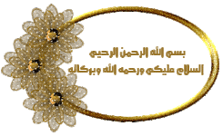 1782213811306.gif