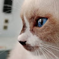 شمس