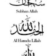 محمد فتحي مشالى