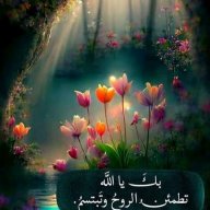 ام حمزة