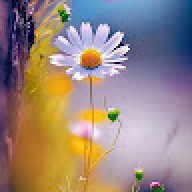just4you