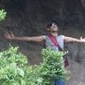 fares sror