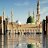 ناوي الاحتراف