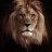 Dark Lion